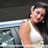Haripriya New Photo Shoot - Pictures | Picture 115695